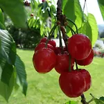 Riedingerhof 호텔