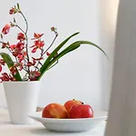 호텔 Riedingerhof 메라노
