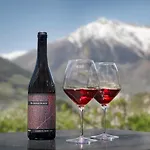 Riedingerhof 3* Merano