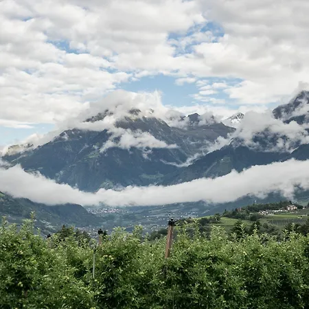 Otel Riedingerhof 3*