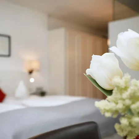 Riedingerhof Hotell 3*