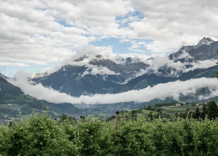 Hotel Riedingerhof 3*