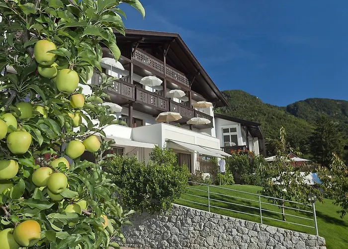 Riedingerhof 3* Meran
