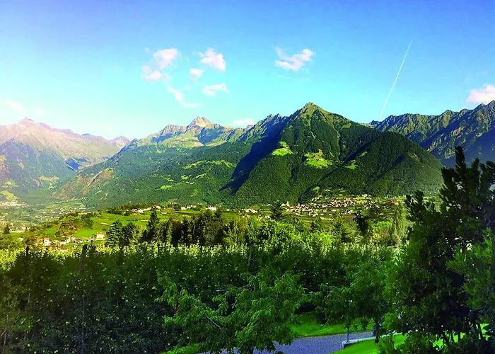 Hotel Riedingerhof 3*