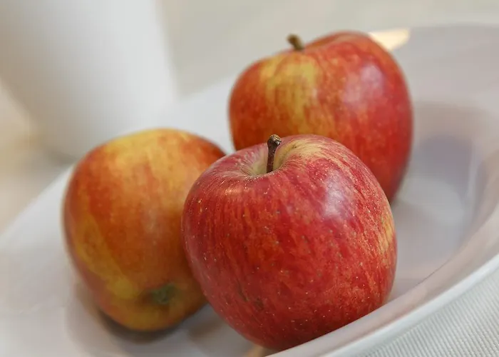 Riedingerhof 梅拉诺