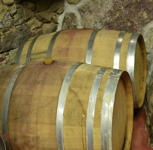 Riedingerhof 梅拉诺