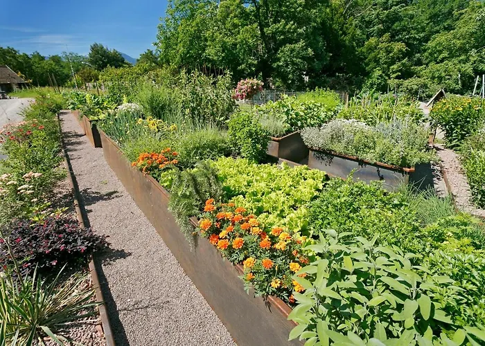 Riedingerhof Hotel 3*