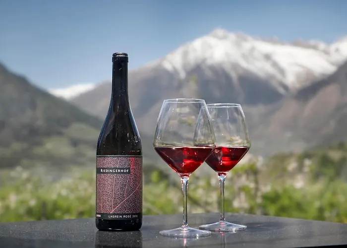 Riedingerhof 3* 梅拉诺